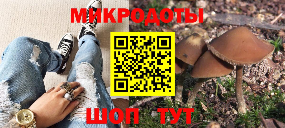 Галлюциногенные грибы прущие грибы  Галлюциногенные грибы прущие грибы  Вход с VPN  Урюпинск 